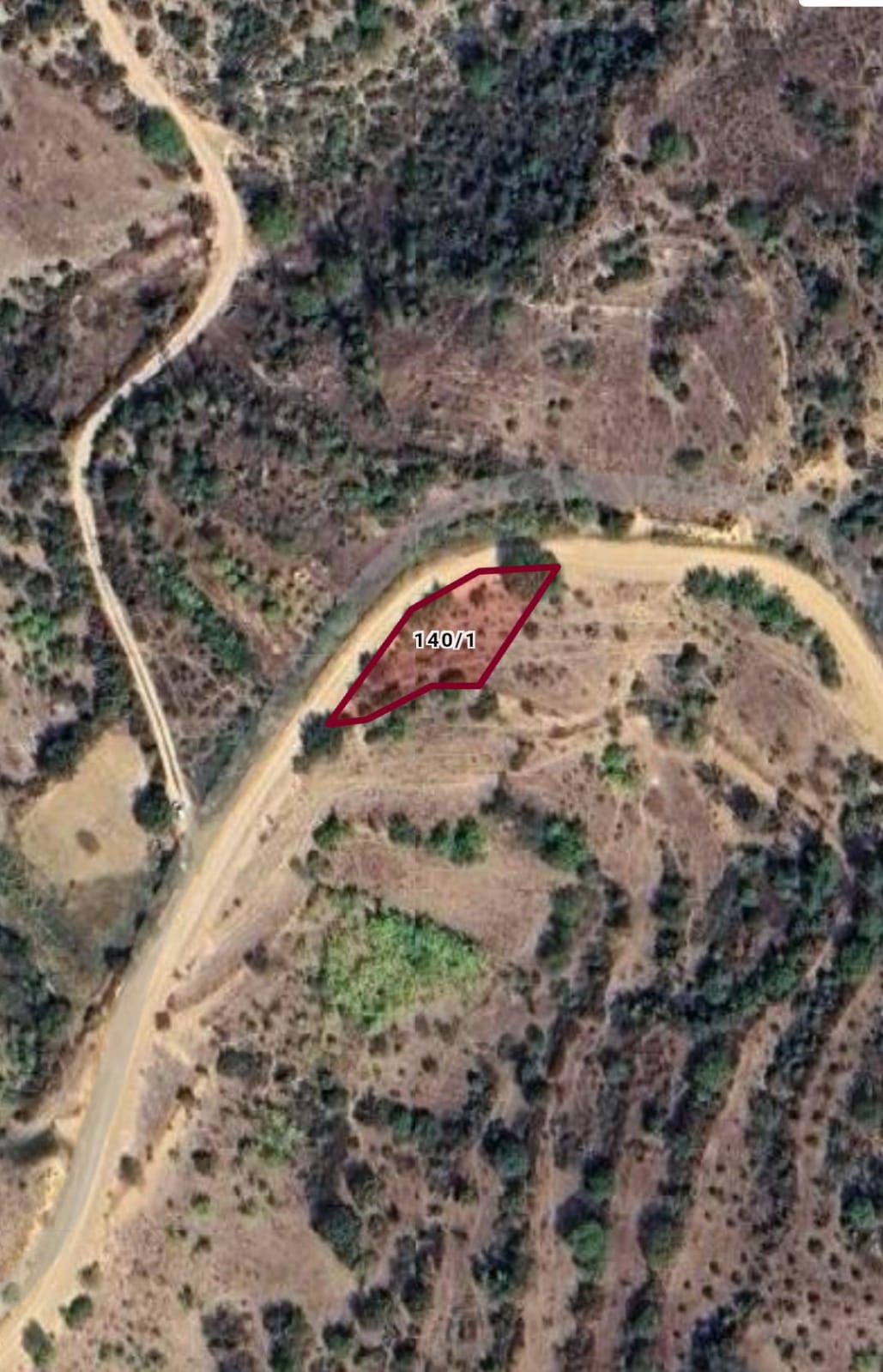 Fotoğraf